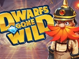 Dwarfs Gone Wild game cover